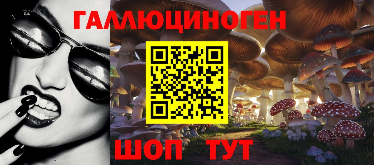 Галлюциногенные грибы Psilocybine cubensis Анапа