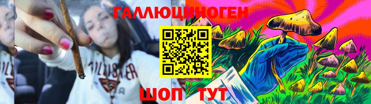 Псилоцибиновые грибы Psilocybine cubensis  Вход с VPN  Анапа 